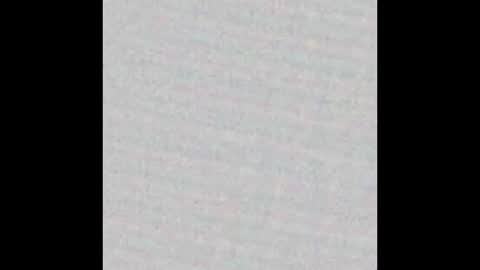 dogbrutus online show from December 22, 8:00 am