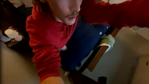 aves4fun online show from November 14, 9:00 am