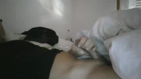 diablo online show from November 4, 7:53 am