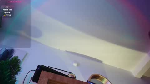 Damin online show from November 15, 8:27 am