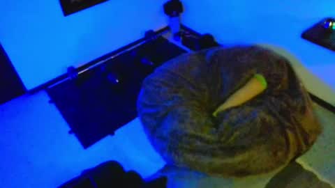 Snapshot of dickdamian_ chatting on December 8, 6:06 pm Damin online show from December 8, 6:06 pm