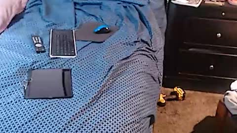 Snapshot of dickgiggler chatting on January 9, 11:25 am Sparkx online show from January 9, 11:25 am