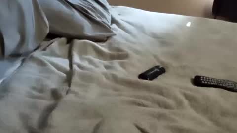 Daddy online show from October 16, 7:44 pm