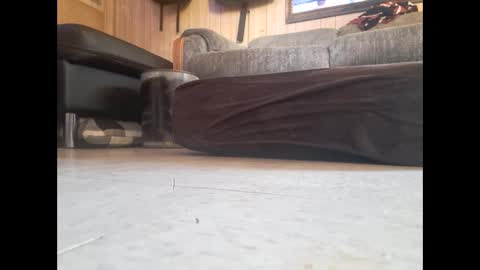 Snapshot of dildosnme22 chatting on February 19, 7:48 pm dildosnme22 online show from February 19, 7:48 pm