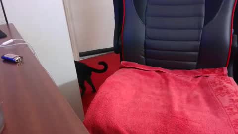 dimax75000 online show from February 14, 11:21 am