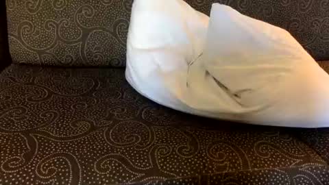 DirtyDanny online show from July 19, 11:33 pm