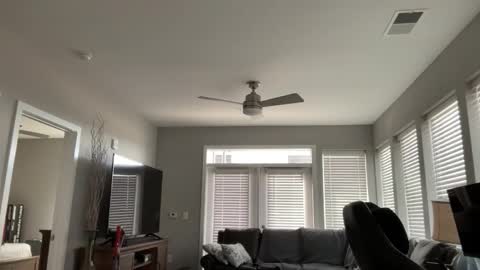 JustinDulgeXXX online show from January 11, 7:28 pm