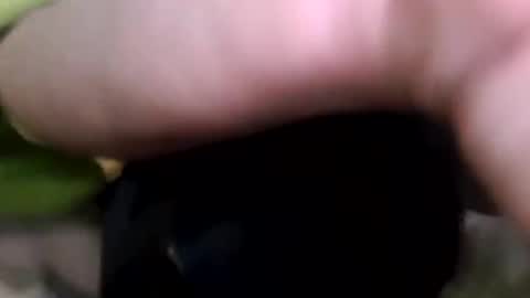 discreetpleasures4u online show from September 15, 12:39 pm