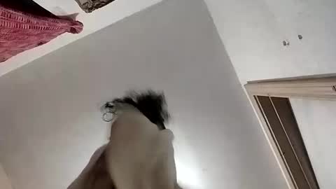 dixonbird41 online show from October 2, 6:17 am