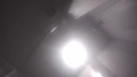 dixonbird41 online show from April 17, 9:45 am