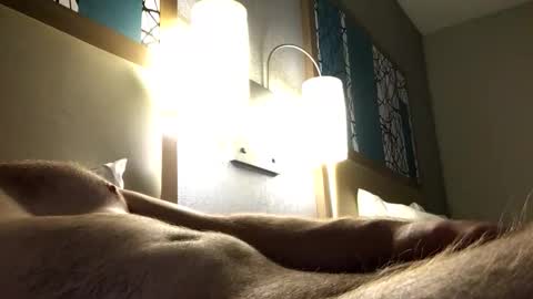 dl8642 online show from November 18, 2:04 am