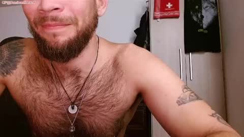 Logan - INDEPENDET MODEL online show from April 25, 1:41 pm