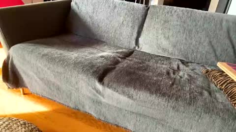 Alfredo online show from November 3, 11:14 am