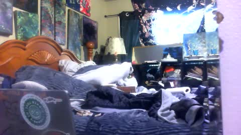 dreaded_folks online show from December 14, 9:33 pm