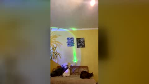 drsexy2000 online show from May 4, 7:26 pm