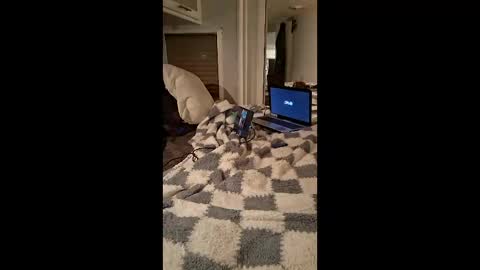 dtrain6969420 online show from May 1, 6:38 am