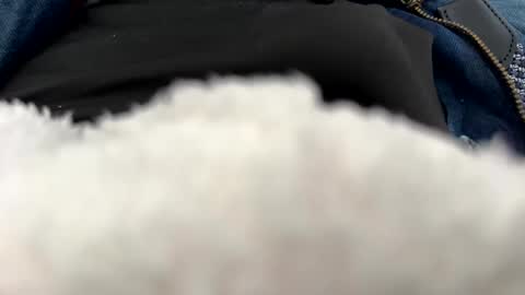 dv0075 online show from April 26, 10:12 am