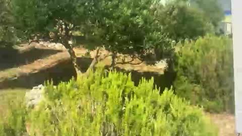 ebnk15 online show from September 30, 8:08 am