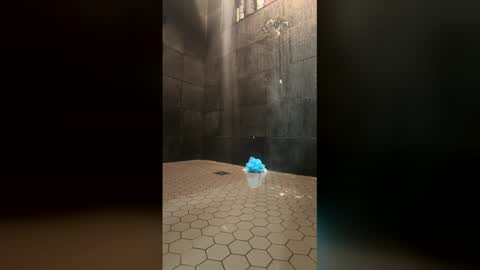 edcxtc online show from April 30, 8:43 am