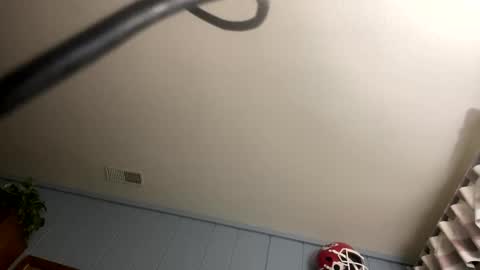 PiedPiper online show from October 10, 11:15 am