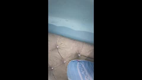 eldomaroxxx online show from April 27, 10:26 pm