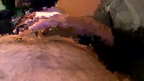 elgato66699 online show from April 20, 4:59 am