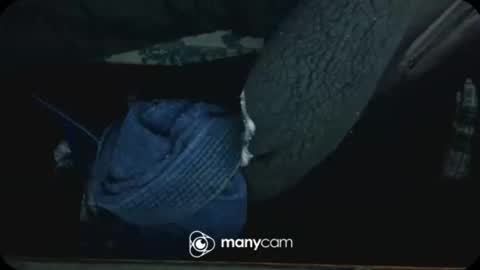 Shadow online show from November 16, 10:34 pm