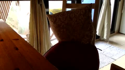 Fabro online show from April 23, 7:57 am