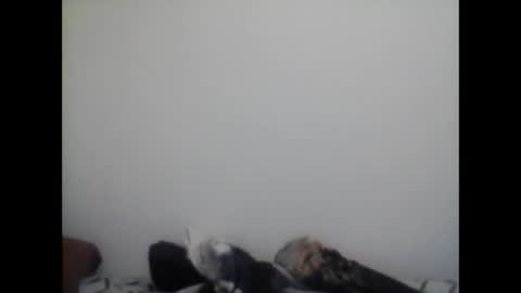 farafonoff online show from January 26, 5:02 am