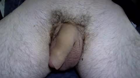 fekadam online show from April 23, 8:41 am