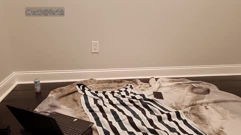 Ferik online show from November 4, 7:20 am