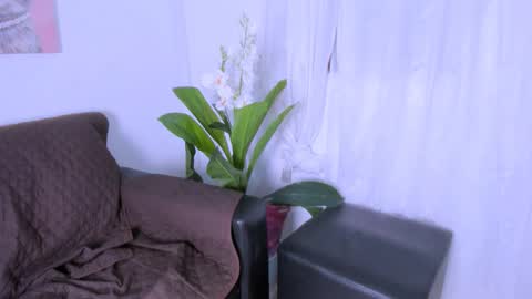 Fernanda online show from November 8, 9:51 pm