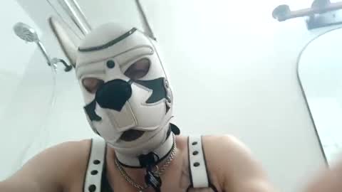 Snapshot of fetishsearch1abdl chatting on September 22, 11:21 am fetishsearch1abdl online show from September 22, 11:21 am