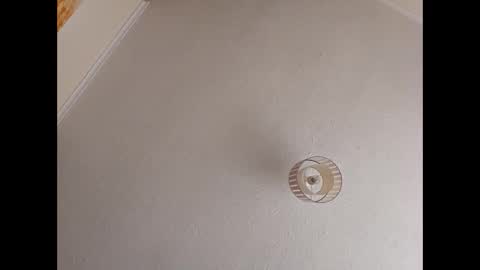 flamazine95 online show from March 3, 12:54 pm