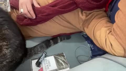 firesoul online show from March 3, 4:31 am