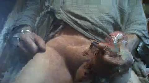 forest133 online show from March 7, 2:23 pm