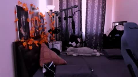 Foxicfu online show from November 28, 8:16 am