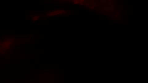 freddyalready online show from January 4, 2:14 pm