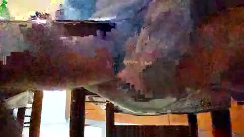 frizzi7 online show from December 15, 11:02 pm