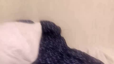 fuckmee12334wq online show from March 9, 1:43 am