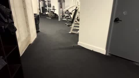 Snapshot of fuckyeahcoach chatting on December 16, 8:20 am Muscle Bear Jock in Training online show from December 16, 8:20 am