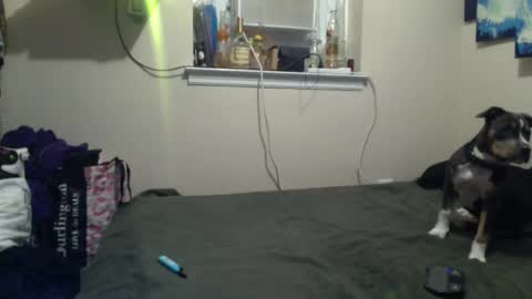 Jax online show from November 15, 9:11 am