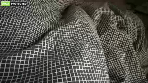 CUM Boy Sex Doll Slave sub online show from January 5, 6:02 am