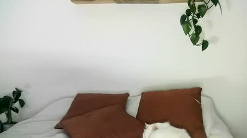 Gael Garca online show from February 20, 6:26 am