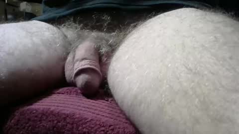 gemini_2 online show from December 29, 2:21 pm