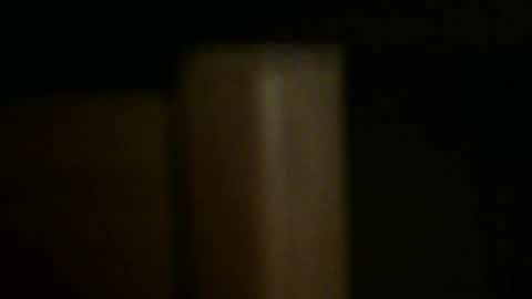 gemini_2 online show from September 28, 3:54 pm