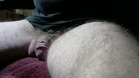 gemini_2 online show from February 9, 6:54 am