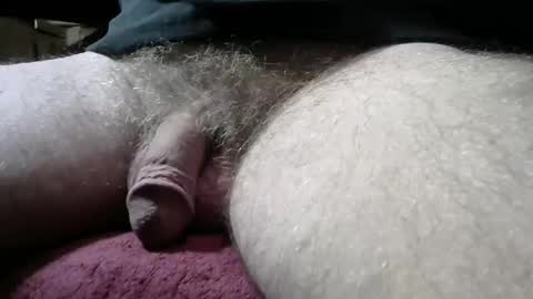 gemini_2 online show from January 2, 3:37 am