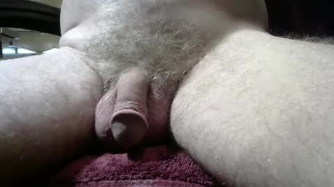 gemini_2 online show from September 22, 1:54 pm