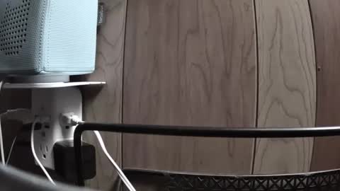 geo86 online show from April 5, 12:56 pm